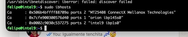 ibnetdiscover output showing ConnectX-3 Pro cards on both ends of the fabric. Two nodes, two ports, zero configuration drama.