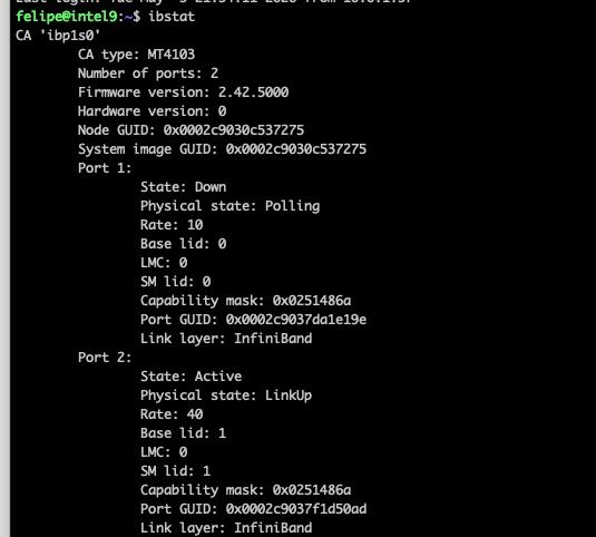 ibstat showing Port 2 ACTIVE, Rate 40 Gbps, physical state LinkUp. This is what &ldquo;it works&rdquo; looks like.