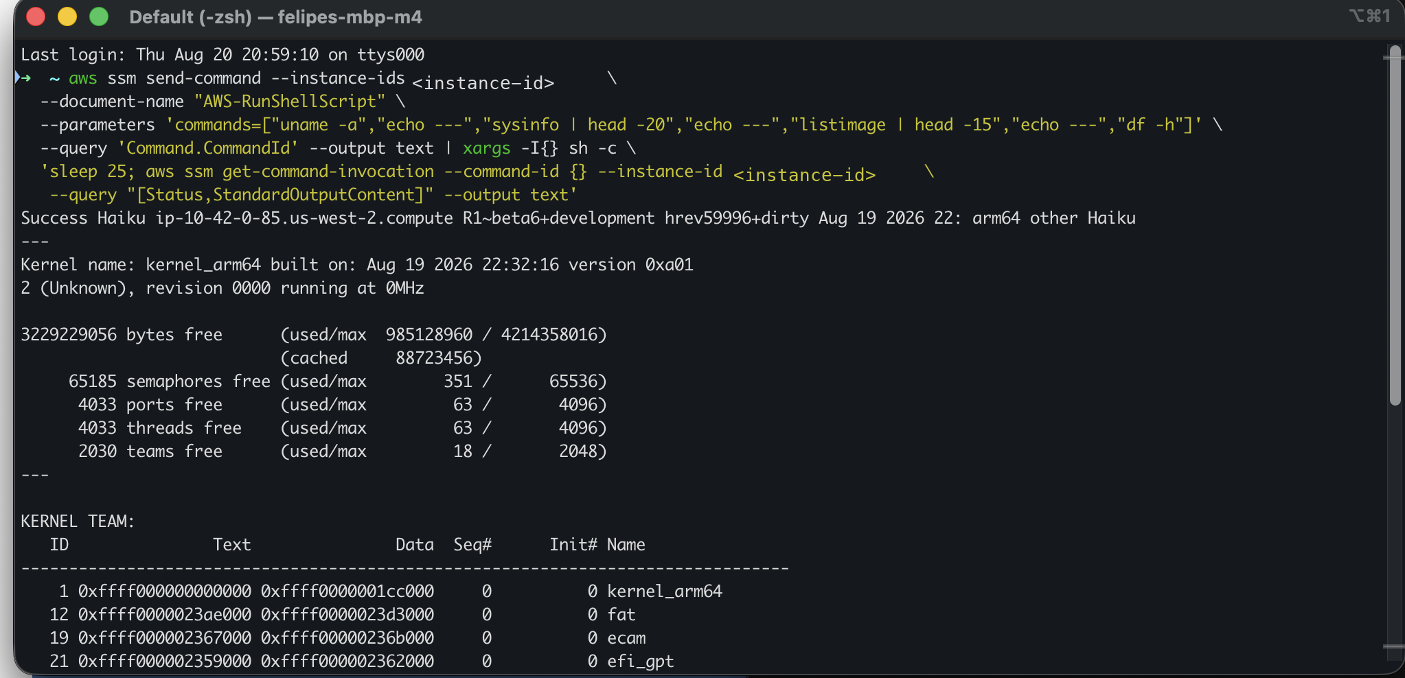 aws ssm send-command delivering a shell one-liner to a Haiku instance, which replies with uname, sysinfo, and a kernel team listing